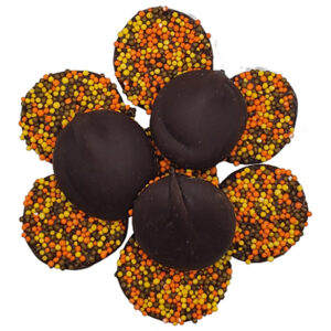 Fall Dark Chocolate Nonpareils | Reppert's Candy